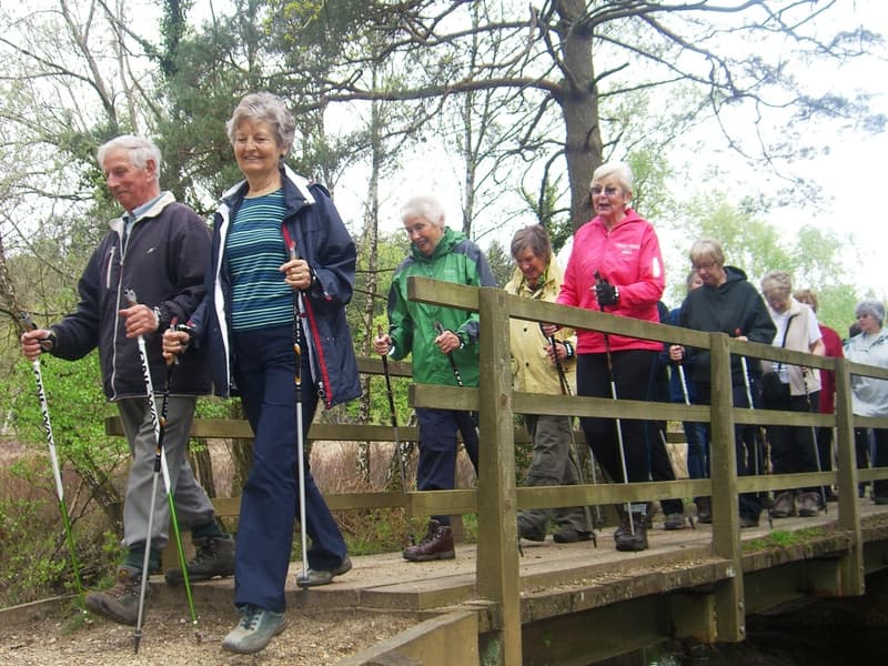 Goldilocks Walk